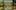 Oil painting 'The Garden of Earthly Delights' by Hieronymus Bosch