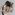 Two women are superimposed up one another, contorting their torsos on a grey background