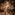 A golden image of the gilded age – a young white man clad in pale gold trousers and waistcoat lightly throws into the air a smiling white woman wearing a frothy white dress, her golden curls backlit like a halo. They are surrounded by a cloud of tumbling glitter.